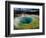 Morning Glory Pool, Yellowstone National Park, Wyoming, USA-Carol Polich-Framed Photographic Print