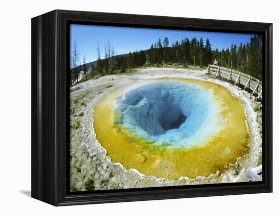 Morning Glory Pool, Yellowstone National Park, Wyoming-Anthony Waltham-Framed Premier Image Canvas