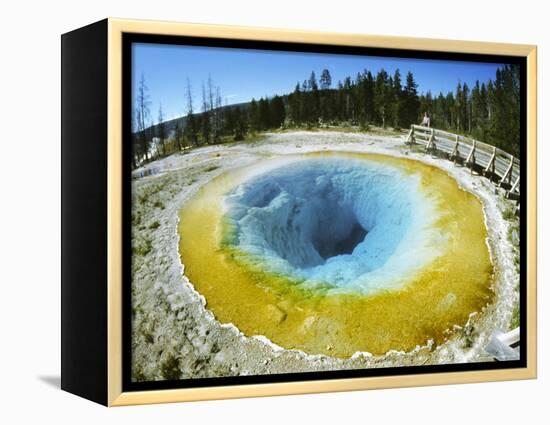 Morning Glory Pool, Yellowstone National Park, Wyoming-Anthony Waltham-Framed Premier Image Canvas