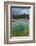 Morning Glory Pool, Yellowstone National Park.-Alan Majchrowicz-Framed Photographic Print