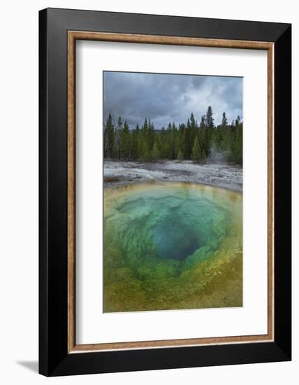 Morning Glory Pool, Yellowstone National Park.-Alan Majchrowicz-Framed Photographic Print