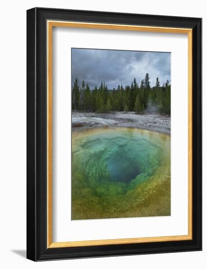 Morning Glory Pool, Yellowstone National Park.-Alan Majchrowicz-Framed Photographic Print