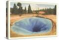 Stretched Canvas Print