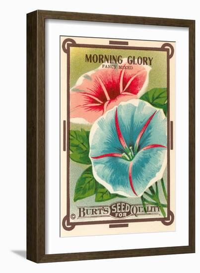 Morning Glory Seed Packet-null-Framed Art Print