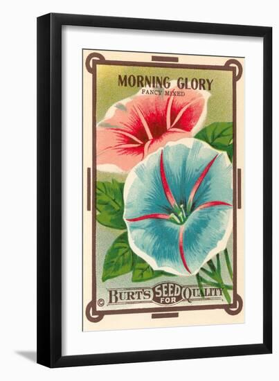 Morning Glory Seed Packet-null-Framed Art Print