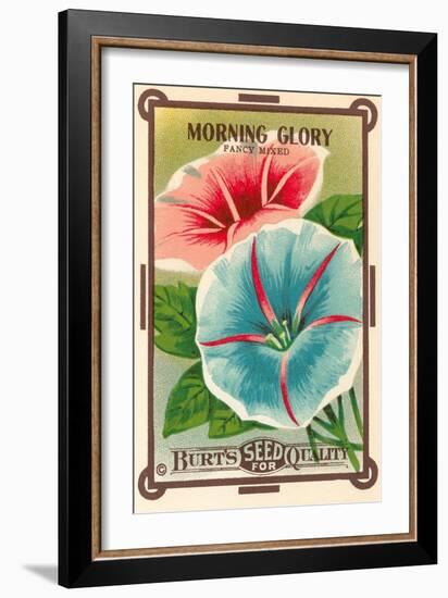 Morning Glory Seed Packet-null-Framed Art Print