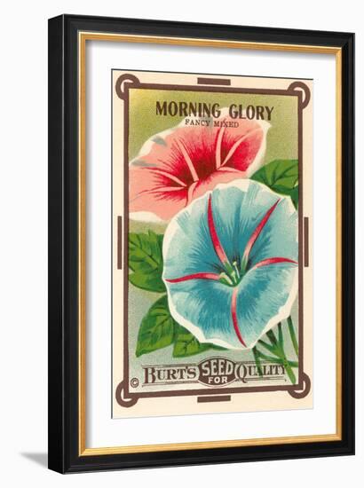 Morning Glory Seed Packet-null-Framed Art Print