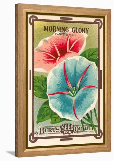 Morning Glory Seed Packet-null-Framed Stretched Canvas