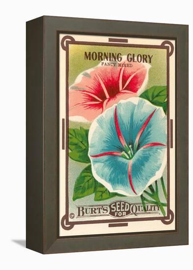 Morning Glory Seed Packet-null-Framed Stretched Canvas