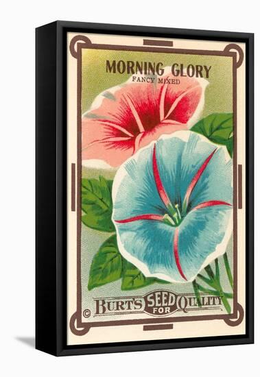 Morning Glory Seed Packet-null-Framed Stretched Canvas