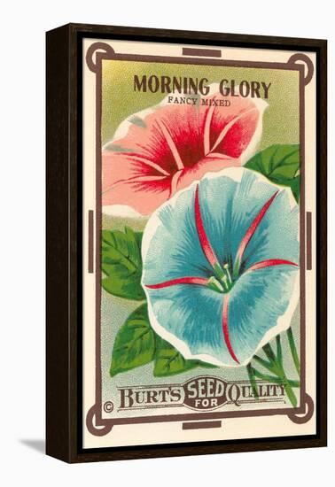 Morning Glory Seed Packet-null-Framed Stretched Canvas