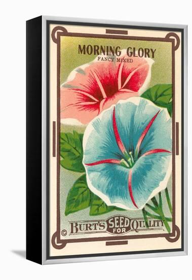 Morning Glory Seed Packet-null-Framed Stretched Canvas