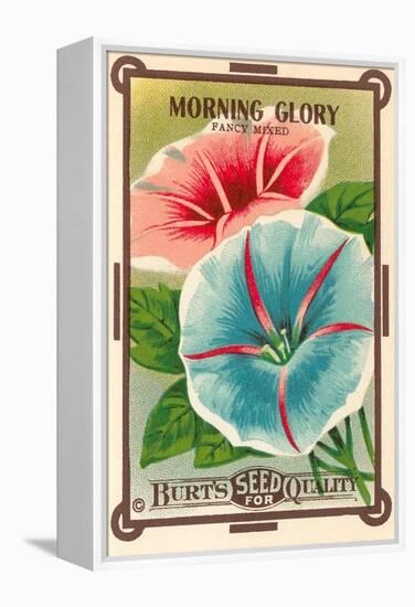 Morning Glory Seed Packet-null-Framed Stretched Canvas