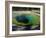 Morning Glory Spring, Yellowstone National Park, Unesco World Heritage Site, USA-Roy Rainford-Framed Photographic Print