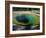 Morning Glory Spring, Yellowstone National Park, Unesco World Heritage Site, USA-Roy Rainford-Framed Photographic Print