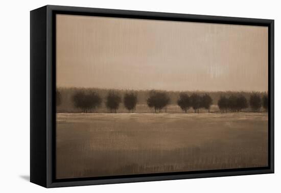 Morning Glory V1-Liz Jardine-Framed Stretched Canvas