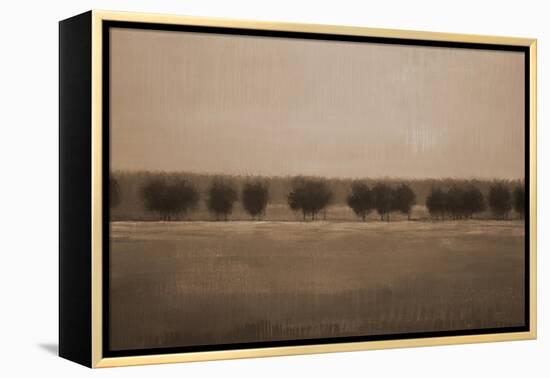 Morning Glory V1-Liz Jardine-Framed Stretched Canvas