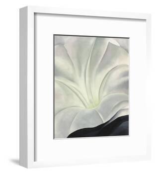 Morning Glory with Black, 1926-Georgia O'Keeffe-Framed Art Print