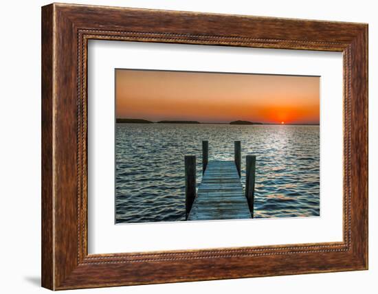 Morning Glory-Mary Lou Johnson-Framed Art Print