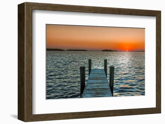 Morning Glory-Mary Lou Johnson-Framed Art Print