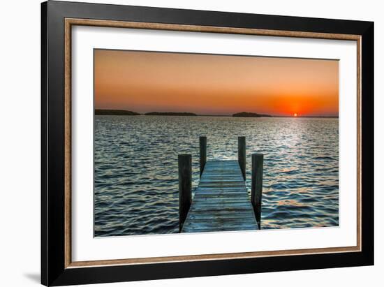 Morning Glory-Mary Lou Johnson-Framed Art Print