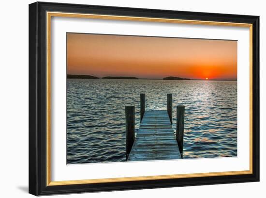 Morning Glory-Mary Lou Johnson-Framed Art Print