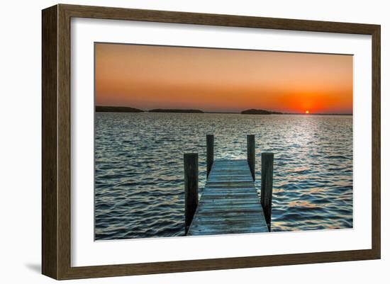 Morning Glory-Mary Lou Johnson-Framed Art Print