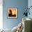 Morning Glory-Doug Chinnery-Framed Photographic Print displayed on a wall