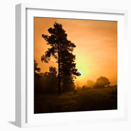 Morning Glory-Doug Chinnery-Framed Photographic Print