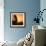 Morning Glory-Doug Chinnery-Framed Photographic Print displayed on a wall