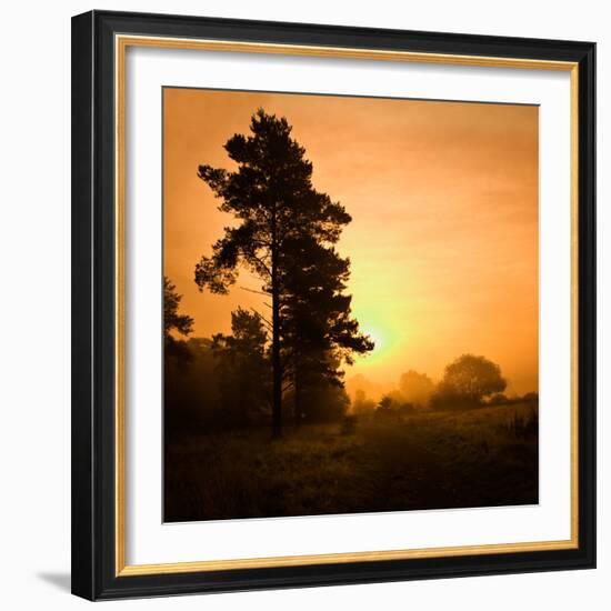 Morning Glory-Doug Chinnery-Framed Photographic Print