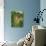 Morning Glory-Anna Miller-Photographic Print displayed on a wall