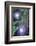 Morning Glory-Anna Miller-Framed Photographic Print