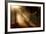 Morning Glory-Craig Roberts-Framed Photographic Print