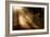 Morning Glory-Craig Roberts-Framed Photographic Print