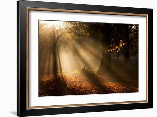 Morning Glory-Craig Roberts-Framed Photographic Print