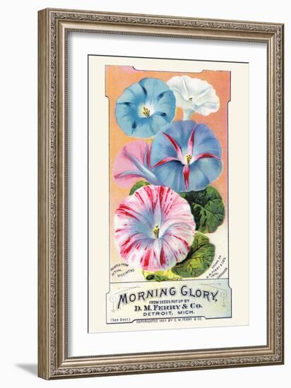 Morning Glory-null-Framed Art Print