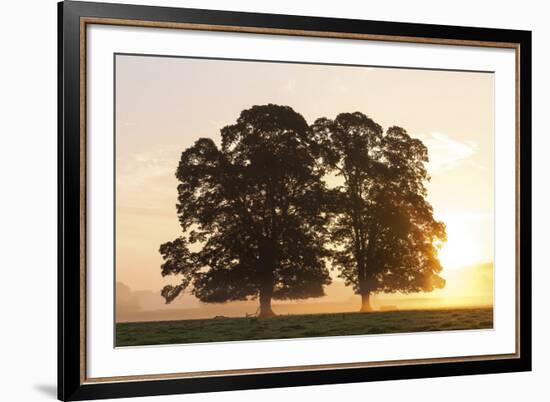 Morning Glow-Peter Adams-Framed Giclee Print