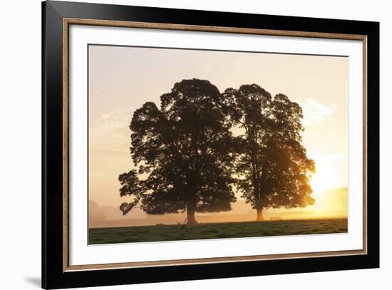 Morning Glow-Peter Adams-Framed Giclee Print