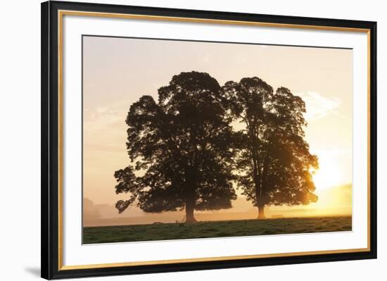 Morning Glow-Peter Adams-Framed Giclee Print