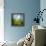 Morning Grass-Ursula Abresch-Framed Premier Image Canvas displayed on a wall