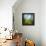 Morning Grass-Ursula Abresch-Framed Premier Image Canvas displayed on a wall