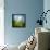 Morning Grass-Ursula Abresch-Framed Premier Image Canvas displayed on a wall