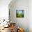 Morning Grass-Ursula Abresch-Framed Premier Image Canvas displayed on a wall