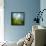 Morning Grass-Ursula Abresch-Framed Stretched Canvas displayed on a wall