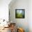 Morning Grass-Ursula Abresch-Framed Stretched Canvas displayed on a wall