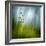 Morning Grass-Ursula Abresch-Framed Premium Photographic Print