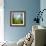 Morning Grass-Ursula Abresch-Framed Premium Photographic Print displayed on a wall