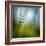 Morning Grass-Ursula Abresch-Framed Premium Photographic Print