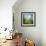 Morning Grass-Ursula Abresch-Framed Premium Photographic Print displayed on a wall